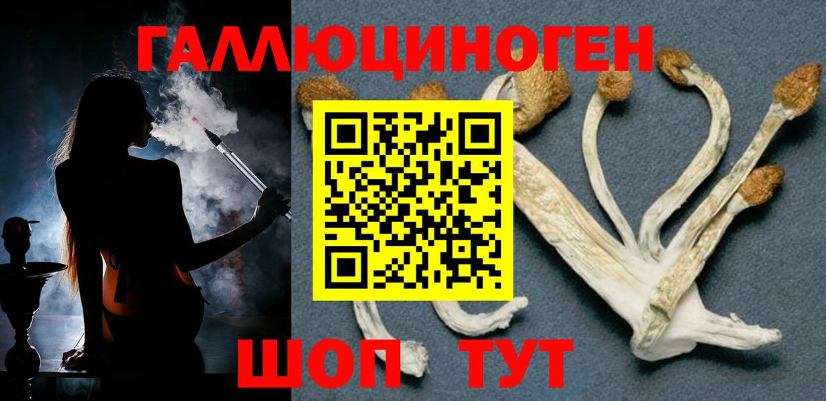 Галлюциногенные грибы Psilocybine cubensis  Псилоцибиновые грибы Psilocybe  закладка  Нижнекамск  Вход с VPN 