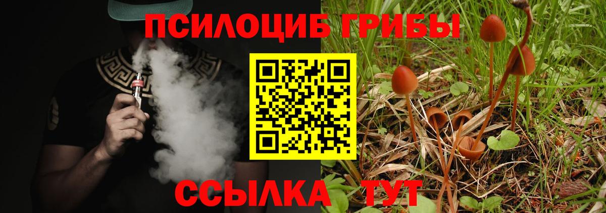 Галлюциногенные грибы ЛСД Нижнекамск